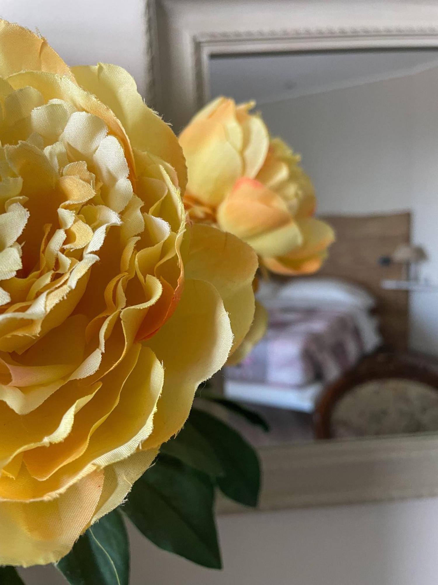La Rocca Bed and Breakfast Carrù Εξωτερικό φωτογραφία